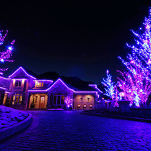 holiday lights