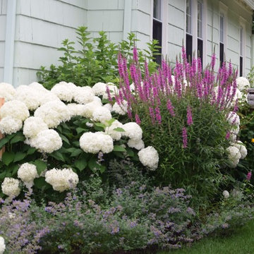 Calais Flower Landscape Design & Management Westhampton