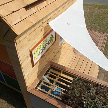 Rainwater Catchment & Succulent