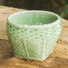 NOVICA Basket And Celadon Ceramic Vase  (Small)