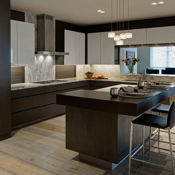 Sleek Kitchen Design
