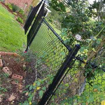 Photos of past projects