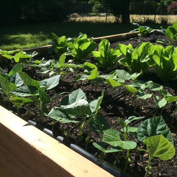 Edible Garden Gallery