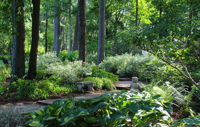 9 Peaceful Garden Scenes to Bring a Moment of Serenity