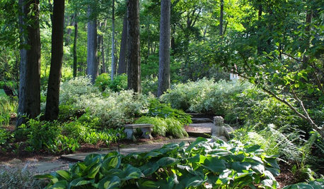 9 Peaceful Garden Scenes to Bring a Moment of Serenity