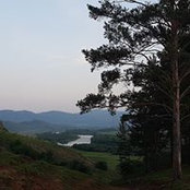 Orgil Sosorbaram's photo