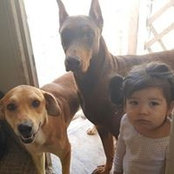 Cristian De Leon's photo