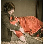 Lisa Stone Hehn's photo