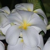 Sheri Rothwell Fuqua's photo