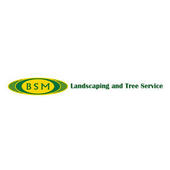BSM Landscaping and Tree Services