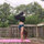 Chayse McLaughlin