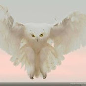 Foto de Constance Swinton
