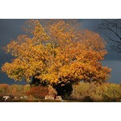 Katie Wartick's photo