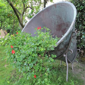 Foto von greenjoy
