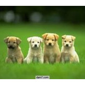 Foto von Appster QA