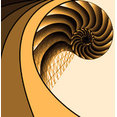 Creative Curve's profile photo