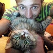 Foto von Fish Golden