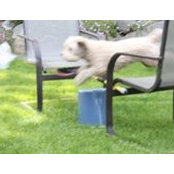 Scott Croasdale's photo