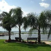 Daphne Anderson's photo