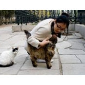 Foto von Xin Wang