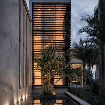 15 Palm