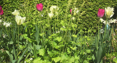 Die 15 Besten Landschaftsarchitekten In Breaston Houzz