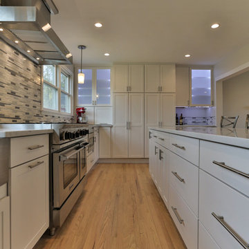 Windsor Renovation