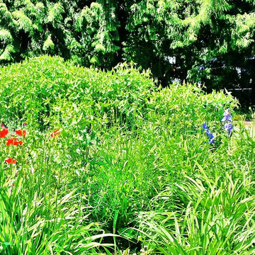 Landscape Makeovers West Coast