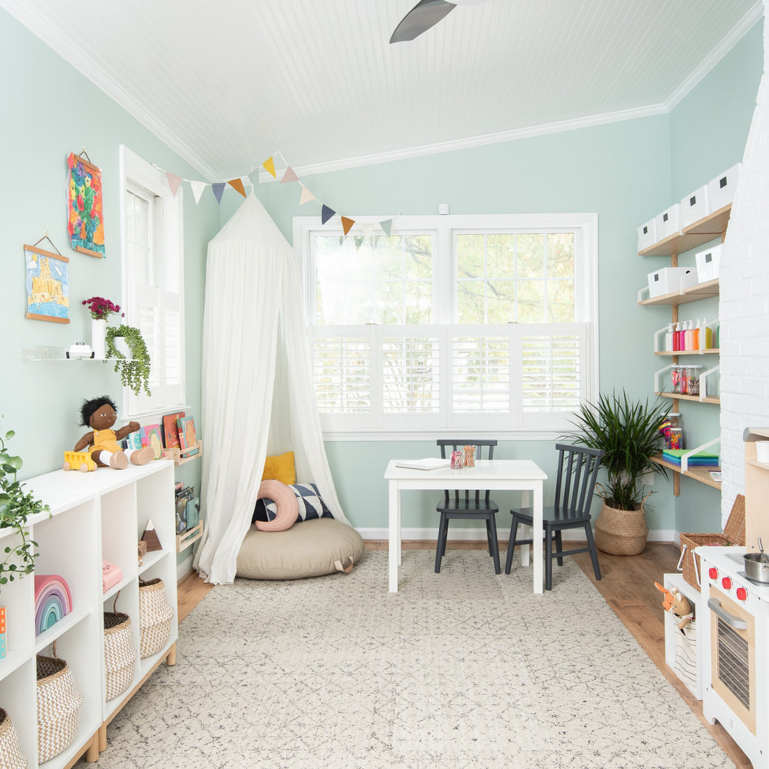 Serene DC Playroom