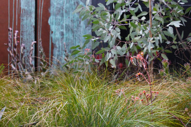This is an example of an australian native eclectic garden in Melbourne.