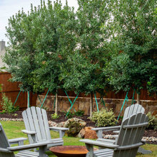 Privacy Tree