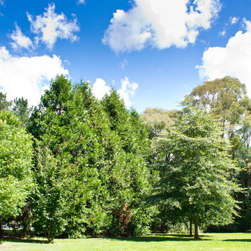 Country Parkland Garden