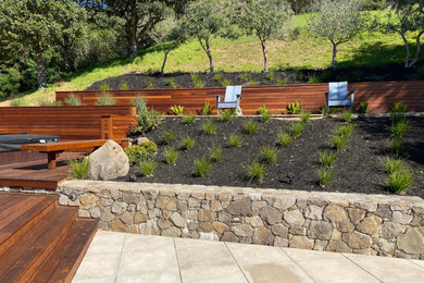 Trendy home design photo in Sacramento