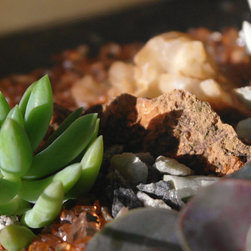 Micro-Gardens - Products
