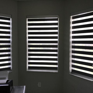 Zebra Illusion Shades - Wilton Manors, Florida