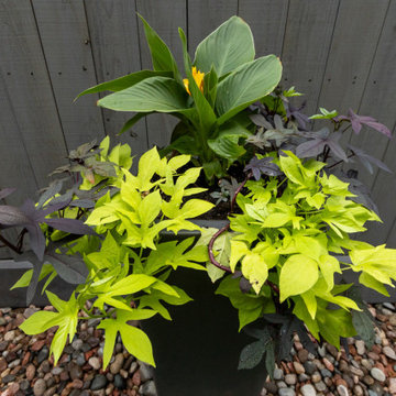 Modern River Oaks Landscape Design- Houston, TX