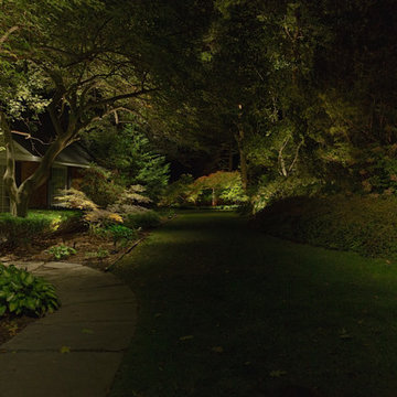 illi permanent HK Landscape Lighting area