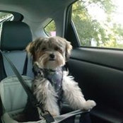 Fran Testa's photo