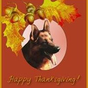 Sue Mount's photo