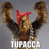 Josip Jukic-Sunaric's photo