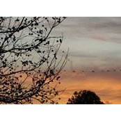 Angelina Mitchell's photo