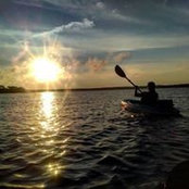 Andrea Barrett's photo