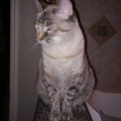 Maryann Ferm's photo