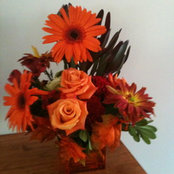 Lindsay Radice's photo