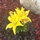 mimicx22304