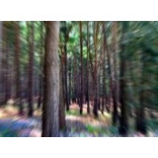 Hugo Bunk's photo