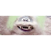 Paul Bernstein's photo