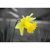 Mary Melvin's photo