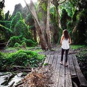 Ellie Ransome's photo