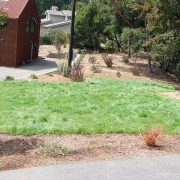 general photos